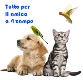 accessori per il tuo cucciolo cane gatto tartaruga criceto